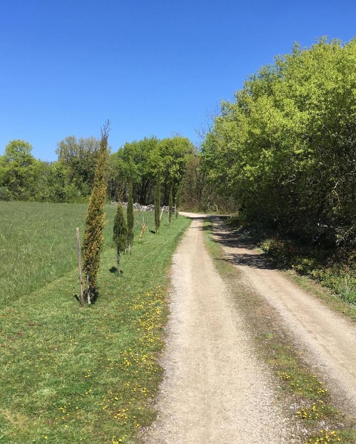 Les Gites Perard Caylus 外观 照片