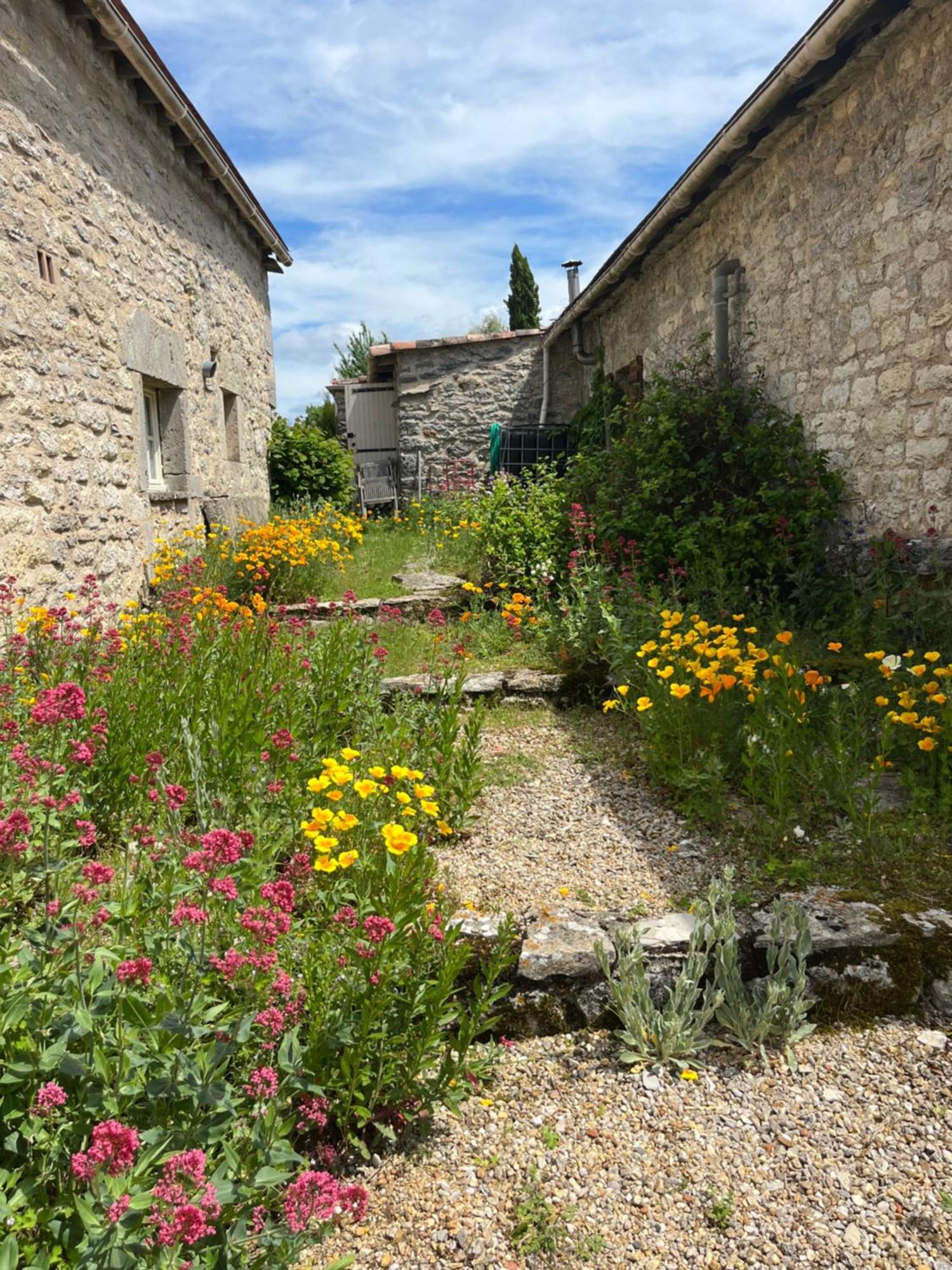 Les Gites Perard Caylus 外观 照片