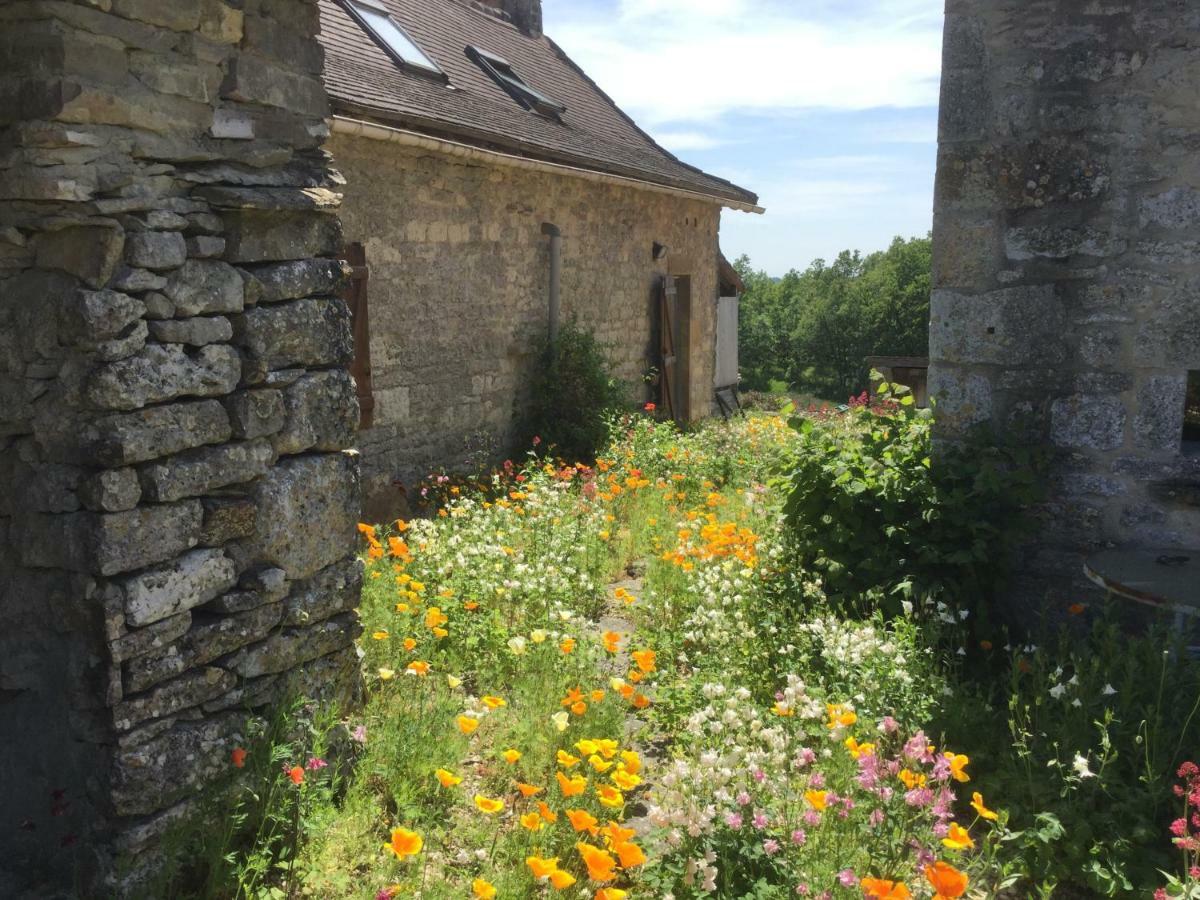 Les Gites Perard Caylus 外观 照片
